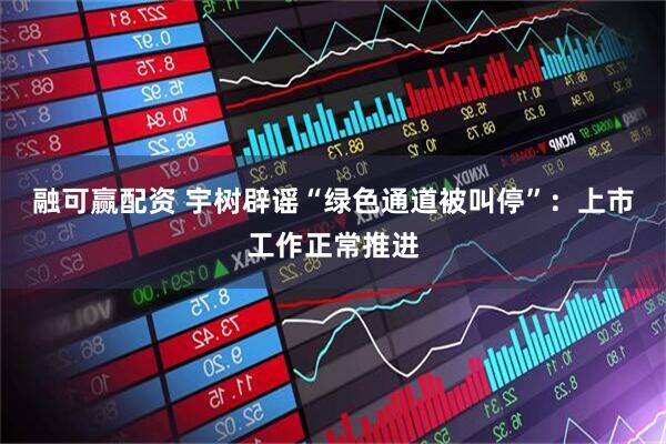 融可赢配资 宇树辟谣“绿色通道被叫停”：上市工作正常推进