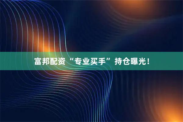 富邦配资 “专业买手” 持仓曝光！
