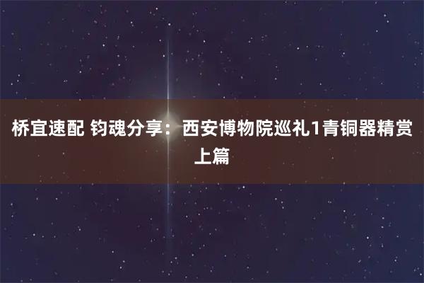 桥宜速配 钧魂分享：西安博物院巡礼1青铜器精赏上篇