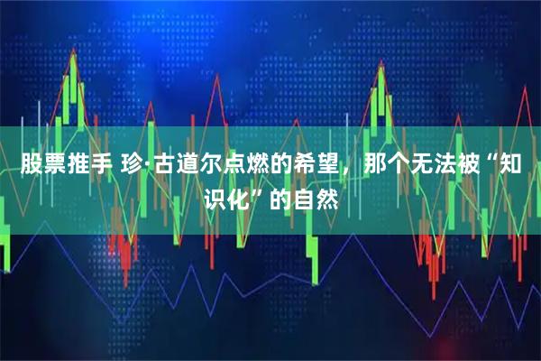 股票推手 珍·古道尔点燃的希望，那个无法被“知识化”的自然